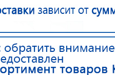 ДЭНАС-ПКМ (Детский доктор, 24 пр.) купить в Ревде, Аппараты Дэнас купить в Ревде, Скэнар официальный сайт - denasvertebra.ru