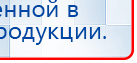СКЭНАР-1-НТ (исполнение 01 VO) Скэнар Мастер купить в Ревде, Аппараты Скэнар купить в Ревде, Скэнар официальный сайт - denasvertebra.ru